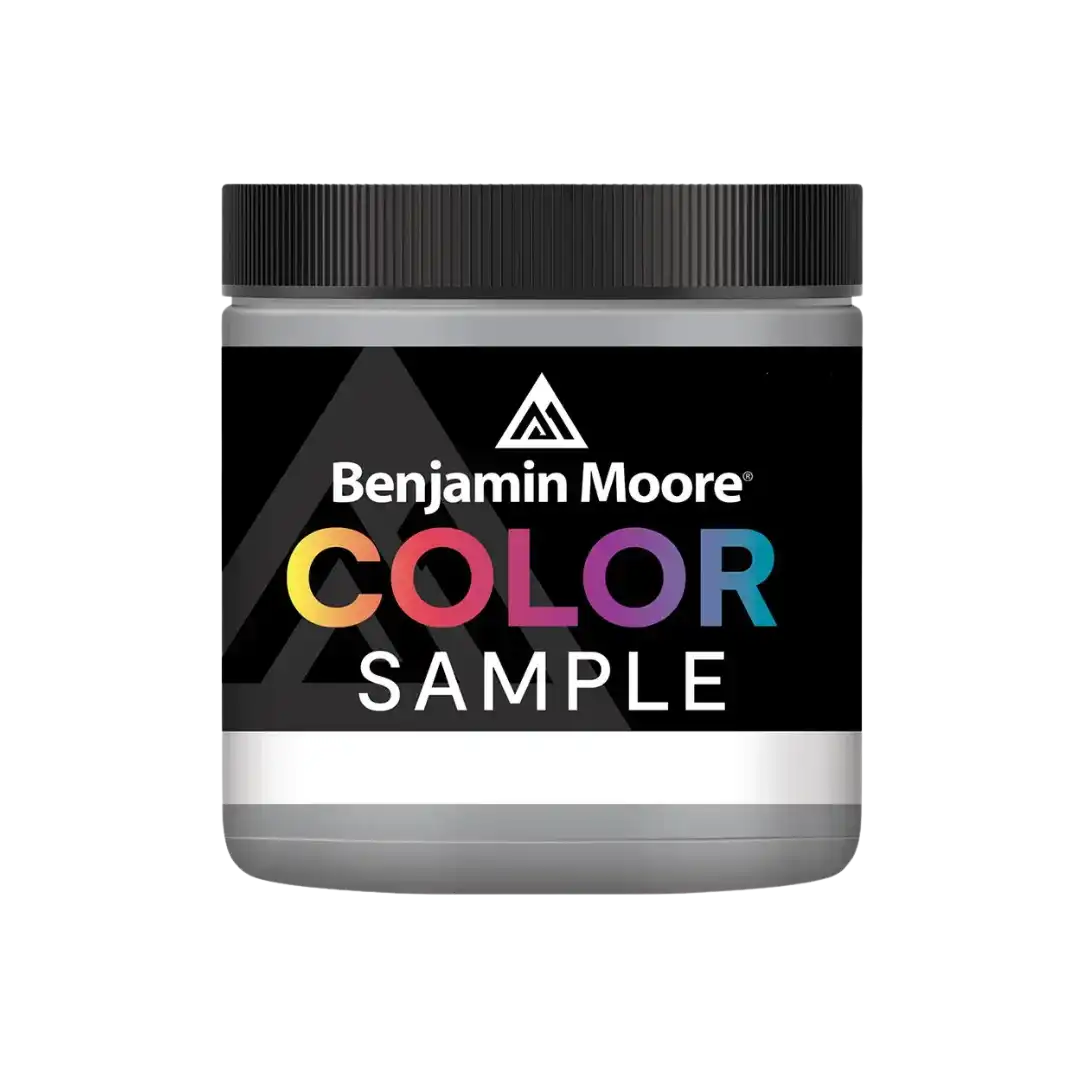 Benjamin Moore Color Sample