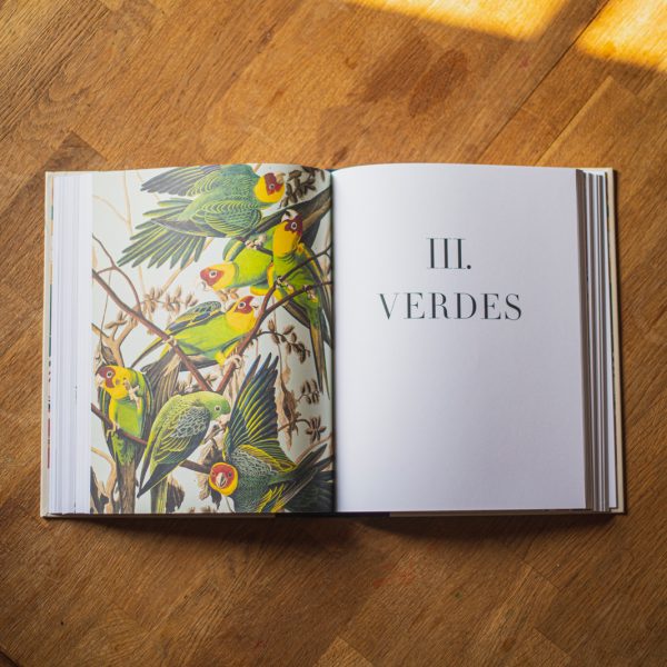 Libro Los Colores de la Naturaleza