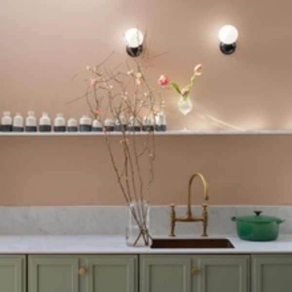 Templeton Pink No.303 · Sample Pot 100 ml