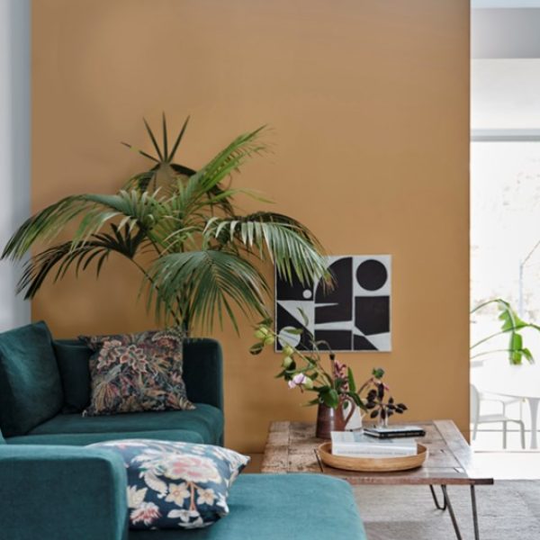 Cane No.53 farrow and ball