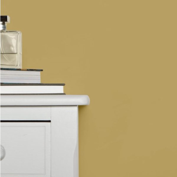 Cat's Paw No.240 farrow and ball