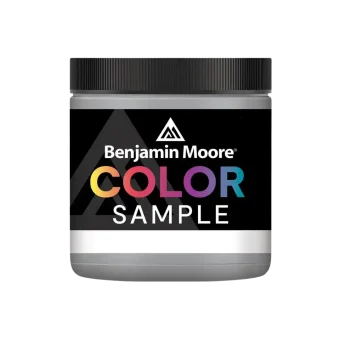 Benjamin Moore Color Sample