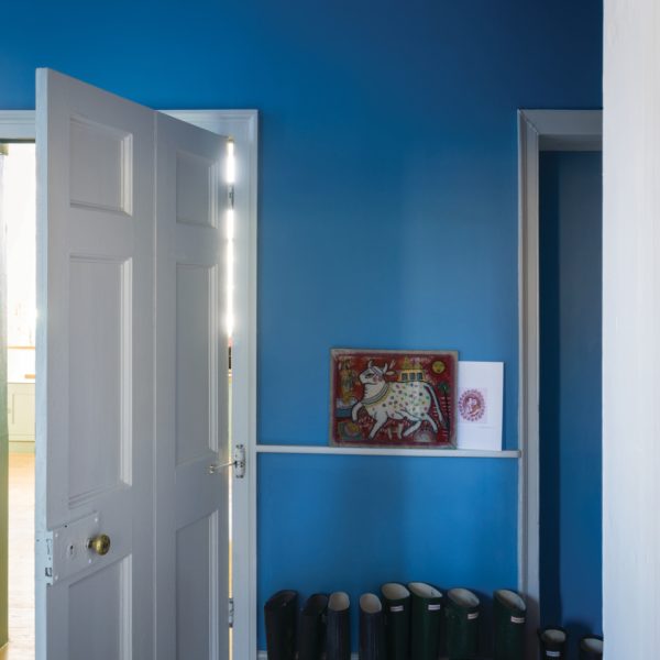 Cook's Blue No.237_foto