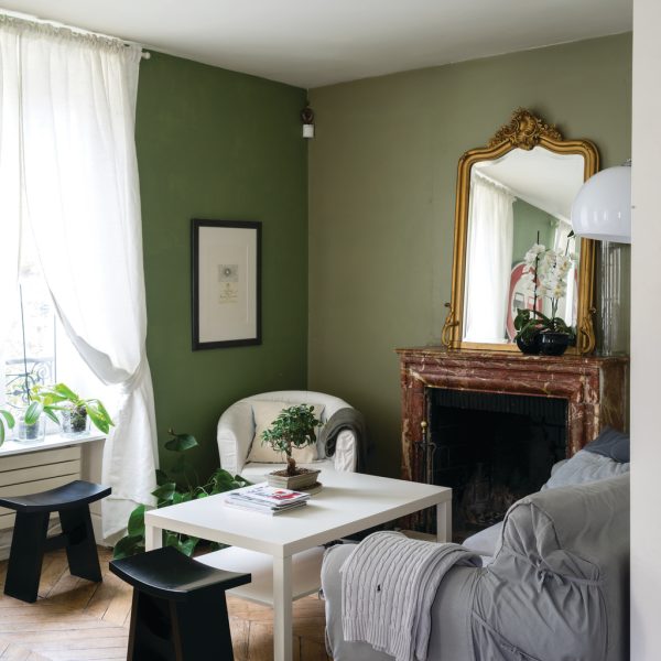 Farrow & Ball Lichen No.19