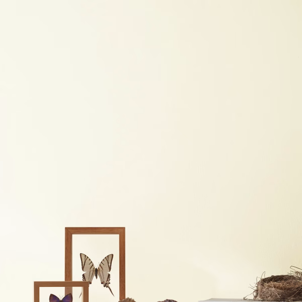 White Chocolate OC-127 Blanco Benjamin Moore