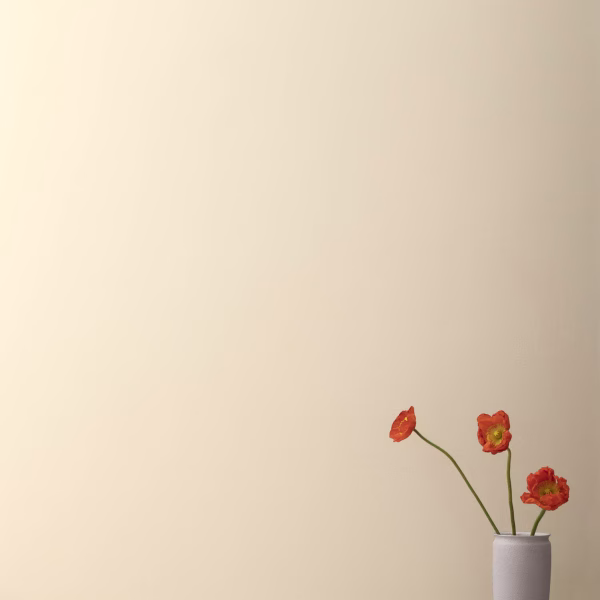 Gentle Cream OC-96 Blanco Benjamin Moore