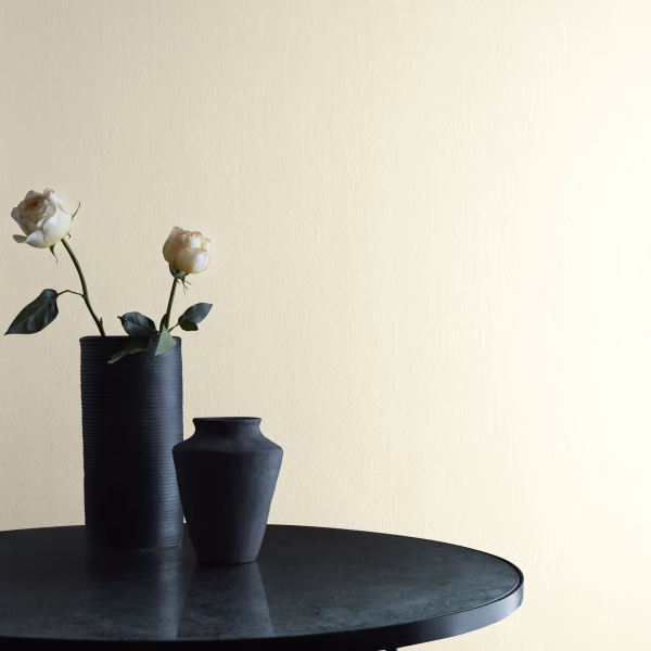 Timid White OC-39 Blanco Benjamin Moore